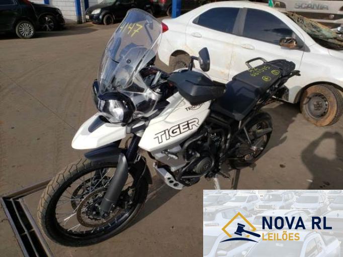 TRIUMPH TIGER 20/20