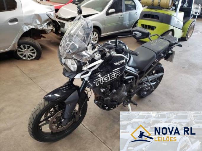 TRIUMPH TIGER 19/19