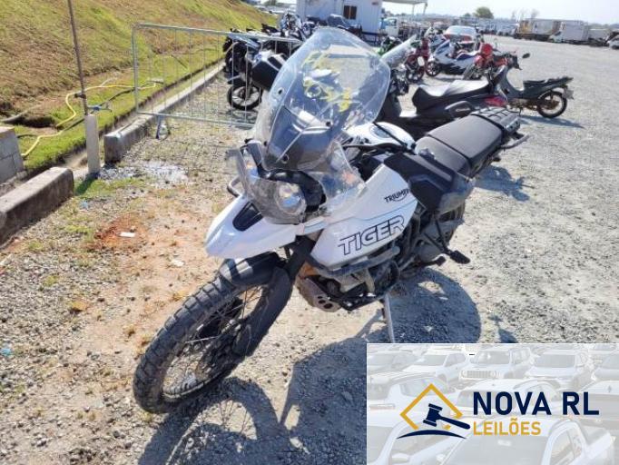 TRIUMPH TIGER 20/20